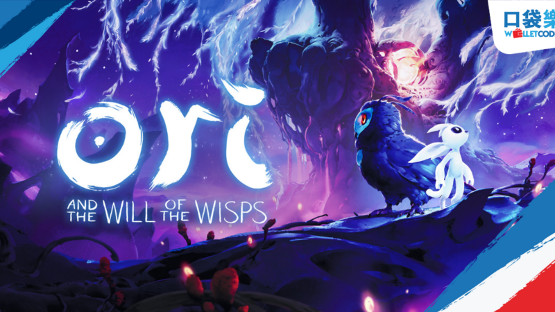 Wallet Codes TW Ori & The Will of the Wisps